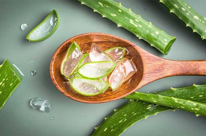  آلوئه‌ورا، اکسیر سبز طبیعت برای مهار التهاب