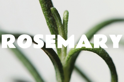 فواید شگفت‌انگیز عصاره رزماری برای پوست و مو 