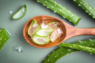  آلوئه‌ورا، اکسیر سبز طبیعت برای مهار التهاب