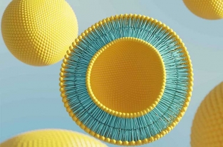 راز اثربخشی کرم‌های پوستی پیشرفته: آشنایی با ترکیبات لیپوزومال