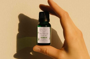 راهنمای جامع خواص روغن درخت چای (تی تری اویل) برای پوست و آکنه